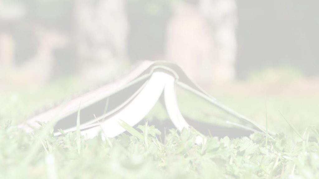 Writers Festival Canadian Writers